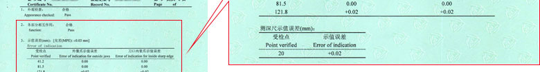 长度91视频入口网址证书报告结果页